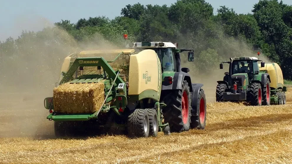 Tražnja i cene pšenice i kukuruza osciliraju u Srbiji i u svetu, oprezni i prodavci i kupci 1