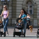 Veliki projekat države za podršku porodicama pretvoren u veliki fijasko 8