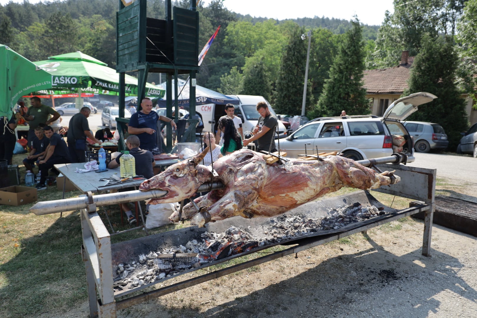 Ne treba nam afrička, imamo mi našu: Šumadijski dani šljive u Stragarima 3