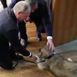 GDF: Vučić se igra diktatora po uzoru na Putina i zabranjuje Evroprajd 4