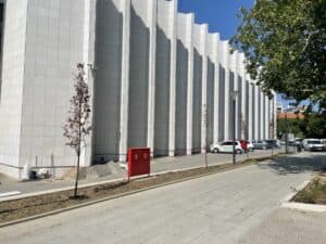 "Reanimacija" drveća u Novom Sadu nije uspela: Stabla ponovo sasušena nakon "ozelenjavanja" uoči obeležavanja godišnjice "Oluje" 3 "Reanimacija" drveća u Novom Sadu nije uspela: Stabla ponovo sasušena nakon "ozelenjavanja" uoči obeležavanja godišnjice "Oluje" 3