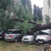 Prijava štete posle nevremena u Kragujevcu 17