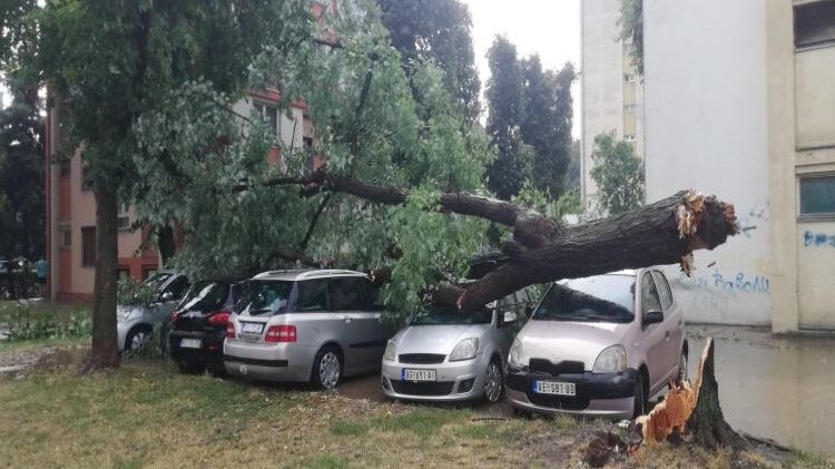 Prijava štete posle nevremena u Kragujevcu 1