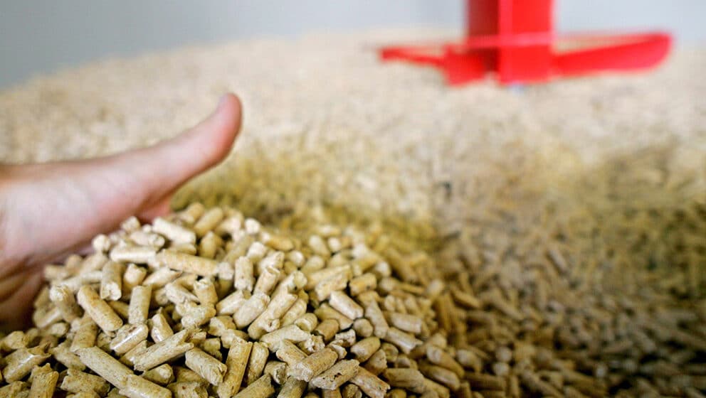 Peleta u Nišu nema, očekuju ga po ceni od 570 dinara za džak od 15 kilograma 1