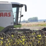 "Do sada smo radili za džabe, a sada smo već u minusu": Suša "obrala" većinu žitarica, ali će biti dovoljno za domaće potrebe 5