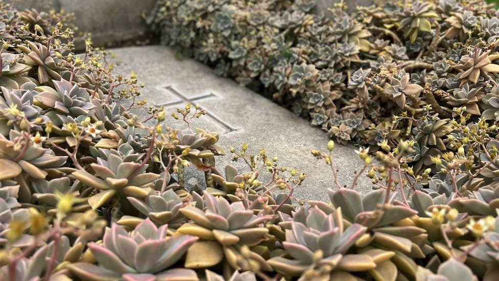 Prvi svetski rat: Ko je bila Katarina Harlej, britanska bolničarka kojoj su srpski vojnici podigli spomenik u Solunu 9 Grob Katarine Harlej danas