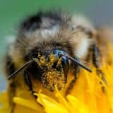 Klimatske promene: Kako toplotni talasi utiču na proizvodnju hrane 4