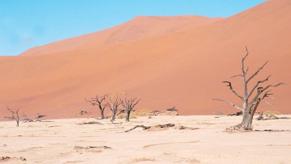 Klimatske promene: Izumiranje čovečanstva od klimatskih promena ne shvata se dovoljno ozbiljno, upozoravaju naučnici 2 Withered trees in sand in front of a sand dune in Soussusvlei, Deadvlei in Namibia.