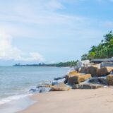 Tajland, Velika Britanija i životinje: Žaba preletela 8.000 kilometara u koferu 5