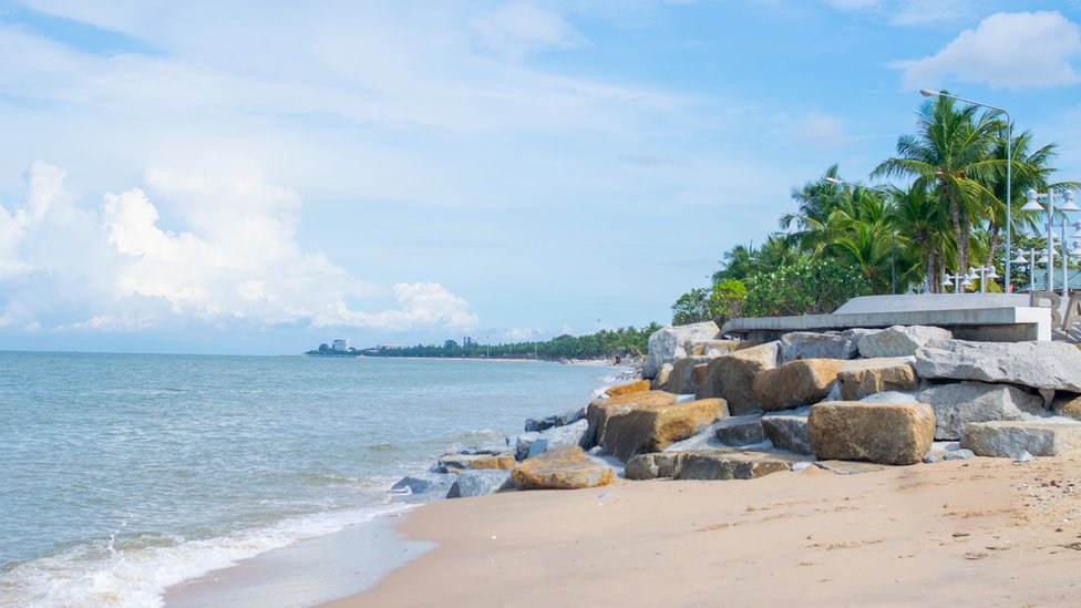 Tajland, Velika Britanija i životinje: Žaba preletela 8.000 kilometara u koferu 1 Tajland