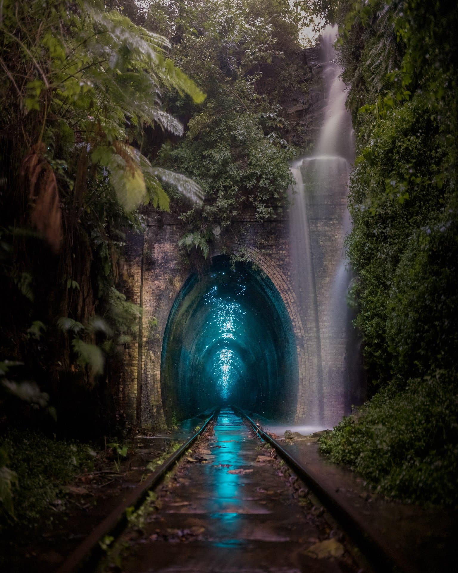 Glow worms illuminate a railway arch in Helensburg, Australia.