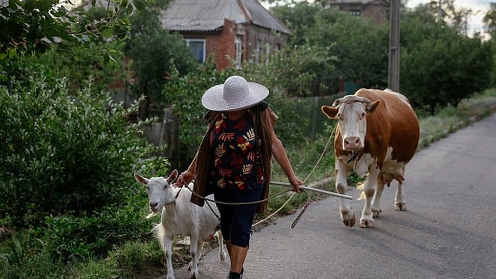 Srbija, žene i imovina: Tradicija jača od zakona - više od 44 odsto žena se odriče nasledstva u korist brata 1 Žene, nasledstvo
