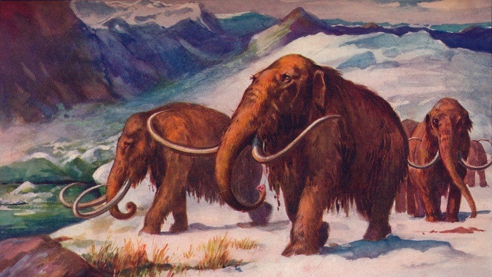 Slika runastog mamuta