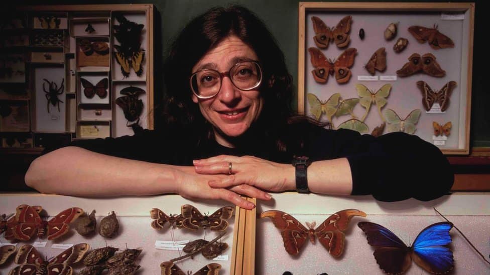 May Berenbaum leaning on a display cabinet containing insect specimins