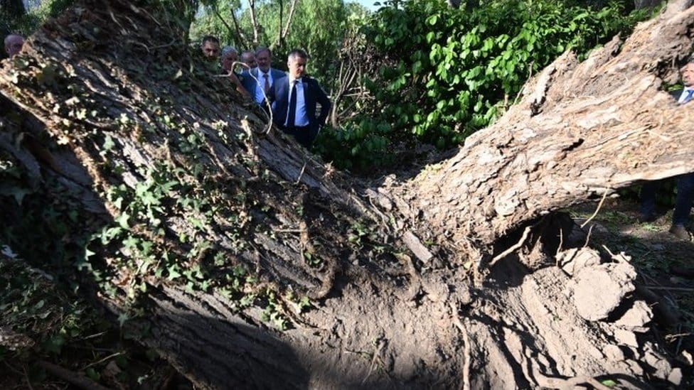 Vremenske nepogode i Evropa: Smrtni slučajevi u Francuskoj, Austriji i Italiji, među poginulima i deca 1 French Interior Minister Gérald Darmanin inspects fallen tree at Sagone campsite in Corsica