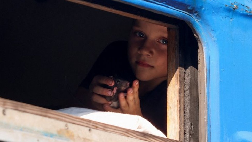 Ukrajina, evakuacija, izbeglice