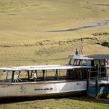 Suša u Evropi najgora u poslednjih 500 godina, kažu naučnici - u Teksasu našli tragove dinosaurusa 4