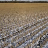 UN: Oko 12 miliona ljudi u Sudanu na ivici gladi 9