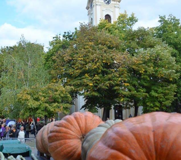 Kikindski karneval ludaje gostovao u Temišvaru 1