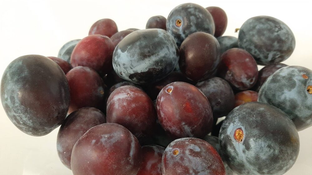 Kako napraviti knedle, odnosno gomboce sa šljivama (RECEPT) 2 Kako napraviti knedle, odnosno gomboce sa šljivama (RECEPT) 2