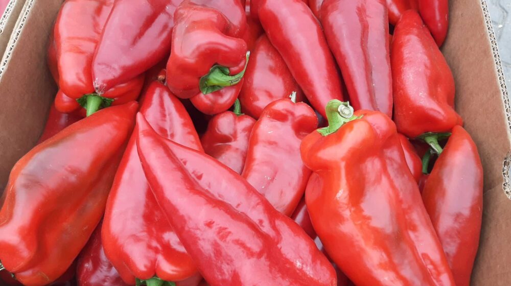 Zapečene crvene paprike punjene junetinom (recept) 1