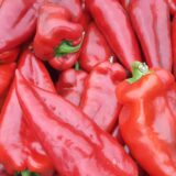 Zapečene crvene paprike punjene junetinom (recept) 17