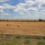Poljoprivrednici zatražili hitnu reakciju Vlade zbog suše i štete koju je izazvala zabrana izvoza pšenice 14