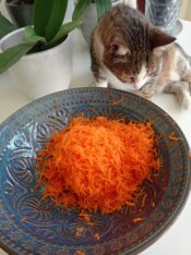 Vege recept: Kolač od šargarepe 5