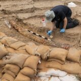 Izraelski arheolozi našli kljovu izumrlog slona 12