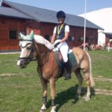 Uspeh šabačkih jahača iz Konjičkog kluba "Taur" 4