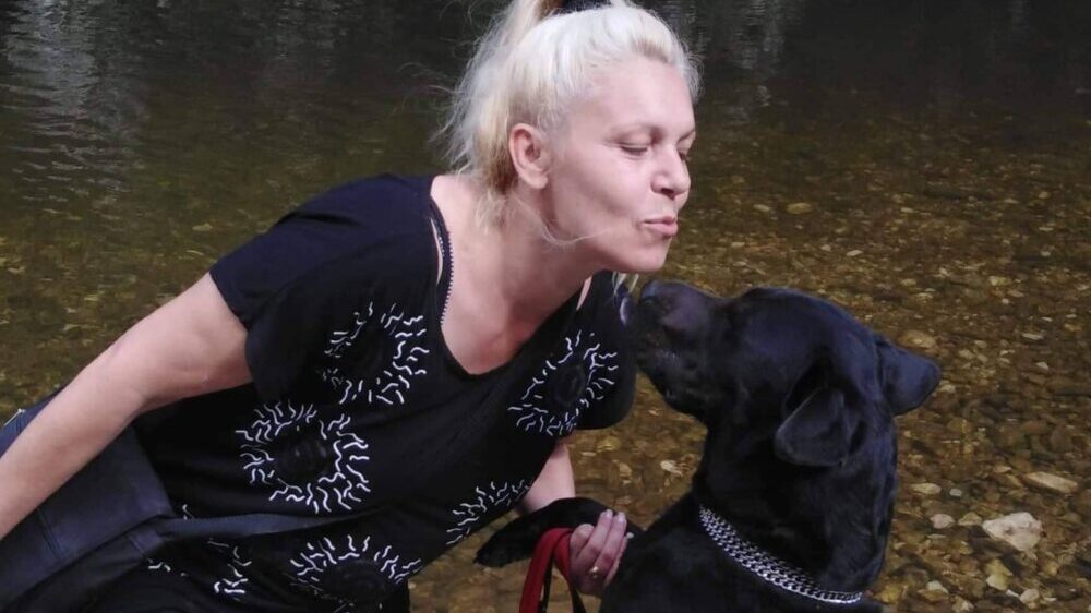 Problem u Užicu: Čak 216 građana podnelo je prijave zbog ujeda uličnih pasa (VIDEO) 8