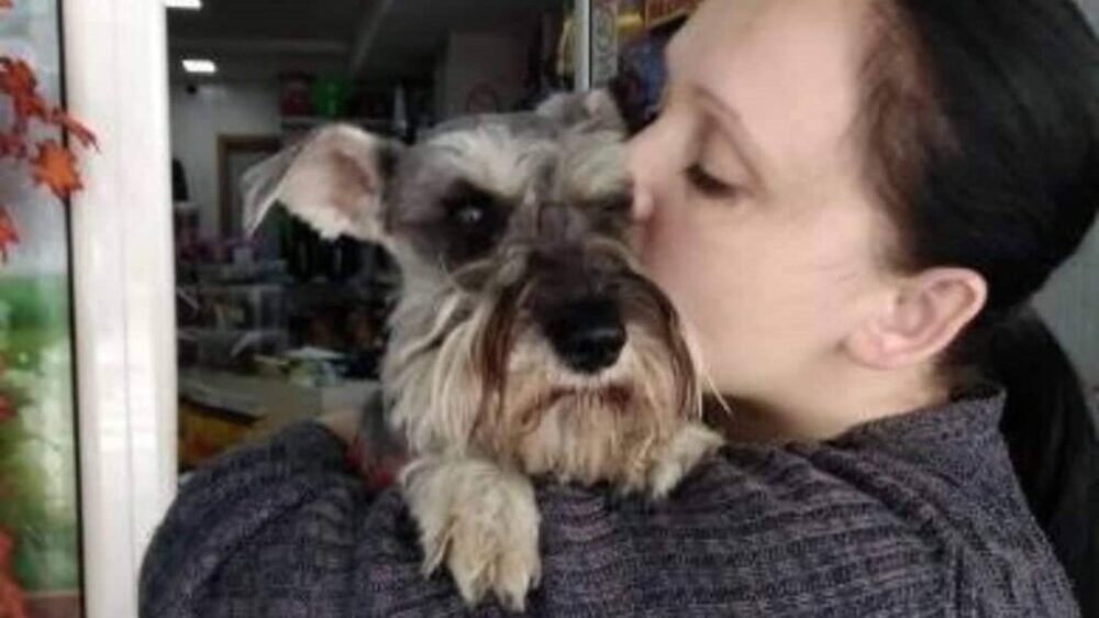 Problem u Užicu: Čak 216 građana podnelo je prijave zbog ujeda uličnih pasa (VIDEO) 7