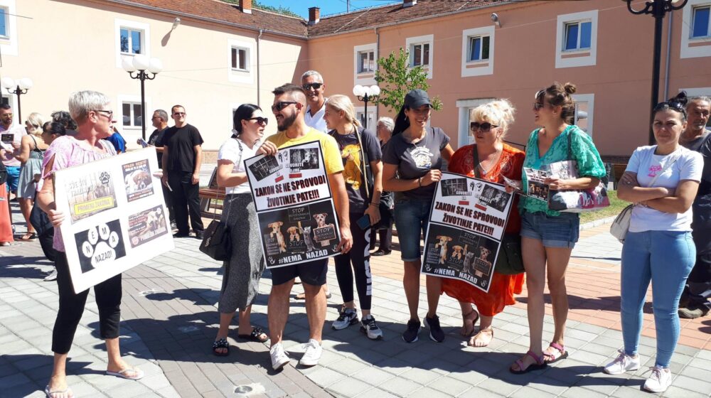 Gradonačelnica Niša: Azil za pse biće građen, uprkos protivljenju građana 1