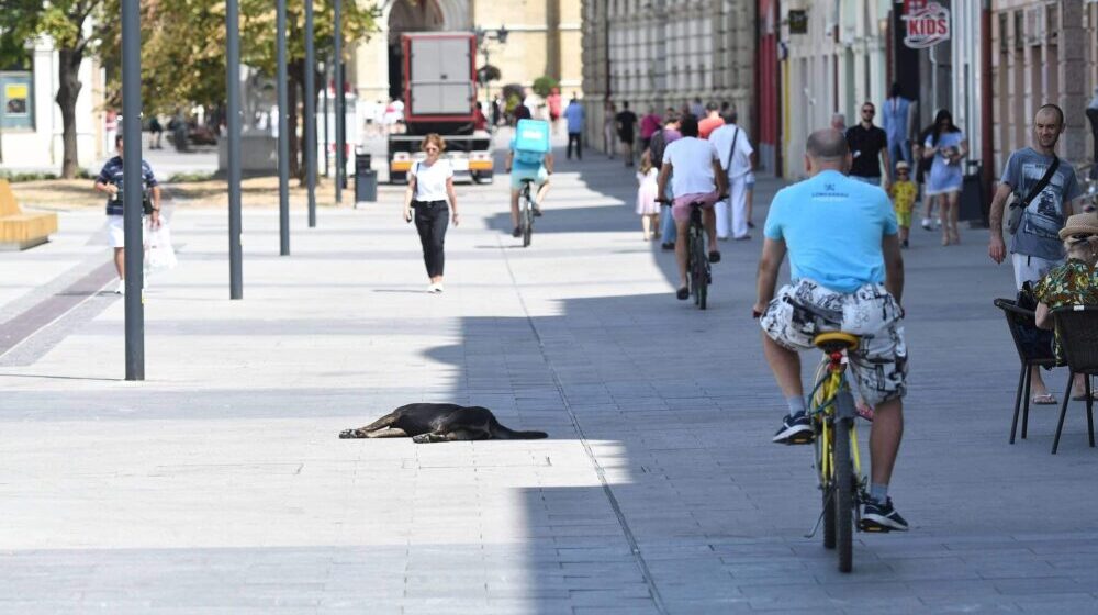 Prognoza vremena za narednih pet dana: Kada nas čeka prolećna temperatura preko 20 stepeni Celzijusa? 1