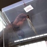 TS: Izveštaj ODIHR pokazuje da postoje problemi sa zloupotrebom javnih resursa i finansiranjem izbora u Srbiji 13