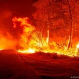 U Gvajani 20 osoba poginulo u požaru školskog internata 8