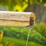 "U fabriku vode ćemo poverovati tek kada je vidimo": U Temerinu neispravna voda za piće već 20 godina 15