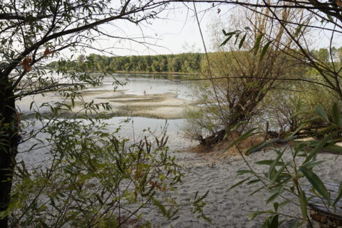 _DSC8512 (FOTO) Bili smo na "Dunavskim Maldivima" i otkrili pravi razlog zbog kog je ovo ostrvo jedino preostalo "parče raja" na reci 20