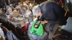 Mirko Filipović iz sela Brnjare kod Bujanovca "Lagali su da jedem travu, hrane imam jer sam nešto sačuvao": Težak život Mirka iz sela Brnjare kod Bujanovca 5