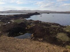 DZPPS Arhiva (4) Na Sjeničko-pešterskoj visoravni ugrožena vodoizvorišta i stočari 2