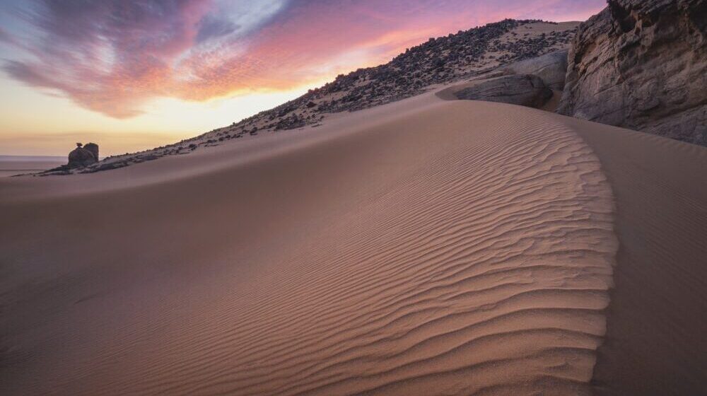 Vladajuća koalicija u Senegalu proglasila izbornu pobedu, opozicija negira 1