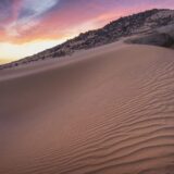 Vladajuća koalicija u Senegalu proglasila izbornu pobedu, opozicija negira 10