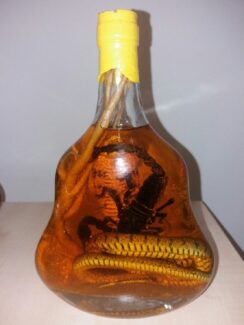 U autobusima zmije i žabe, u pošiljkama tarantule, a automobilima ptice: Koje životinje krijumčari švercuju preko granice 3