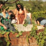 Negotin: I tradicija i moderno doba na „Danu vina i lepog raspoloženja“ 7