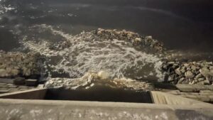 Novosađane koji žive blizu Dunava godinama muče neprijatni mirisi 2 Novosađane koji žive blizu Dunava godinama muče neprijatni mirisi 2