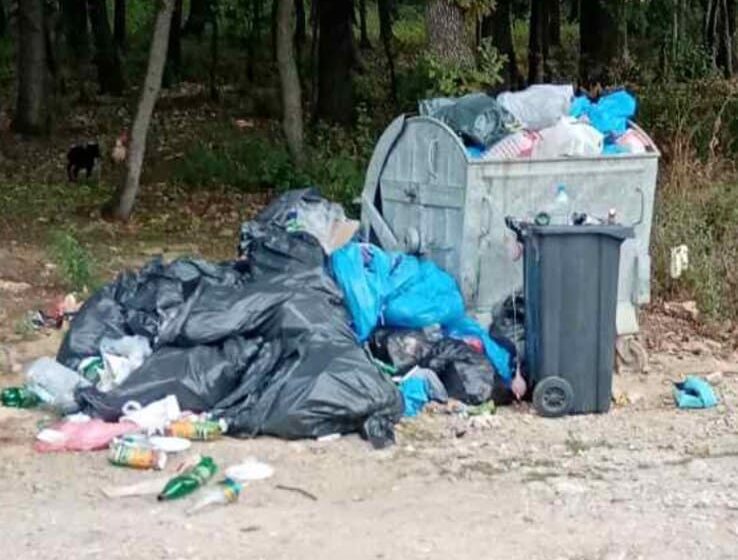SSP Topola: Zašto se redovno ne odnosi smeće iz sela opštine Topola 1