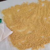 Festival bunjevačkih jela u Bajmoku 3