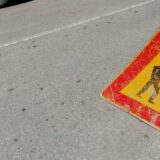 Izgradnja fekalne kanalizacije u Ulici Isidore Sekulić 5