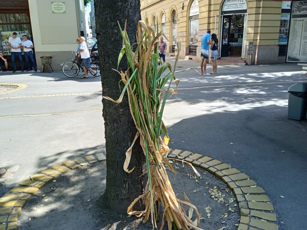 Nakon blokade, subotički poljoprivrednici najavili novu protestnu vožnju 3 Nakon blokade, subotički poljoprivrednici najavili novu protestnu vožnju 23