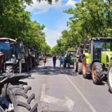 “Seljaci su u sušnoj godini obezbedili dovoljno hrane za državu i imaju pravo da traže bolje uslove”: Zbog čega poljoprivrednici štrajkuju? 13
